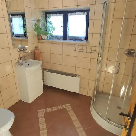 Janiczek Tuchów * Dabrowka Tuchowska