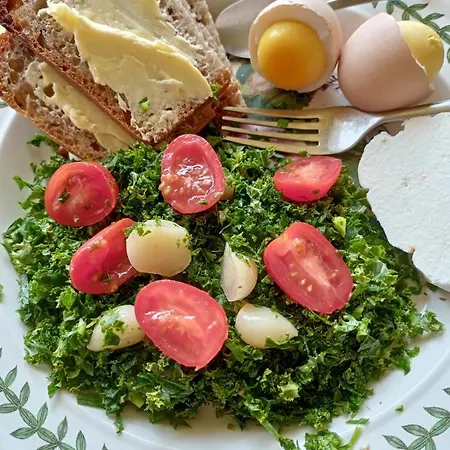 Janiczek Tuchów Gospodarstwo agroturystyczne