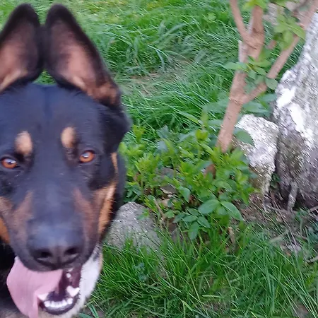 Janiczek Tuchow Lantgård *