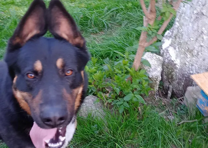 Janiczek Tuchow Farmház *