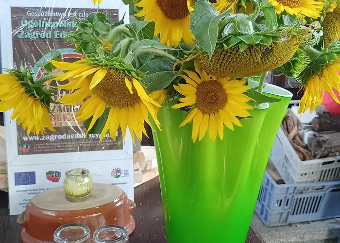 Janiczek Tuchow Farmház Dabrowka Tuchowska